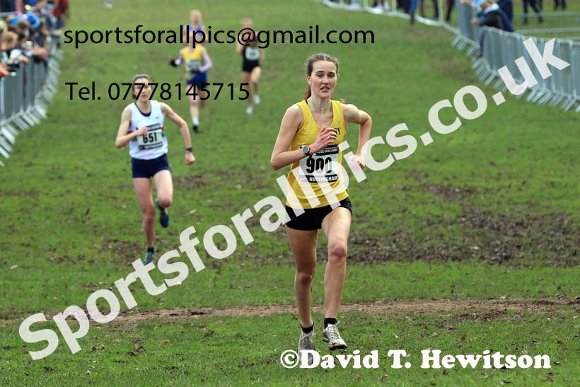 Senior Women, 2024 CAU Inter Counties Cross Country Champs., Wollaton Park, Nottingham. Photo: David T. Hewitson/Sports for All Pics